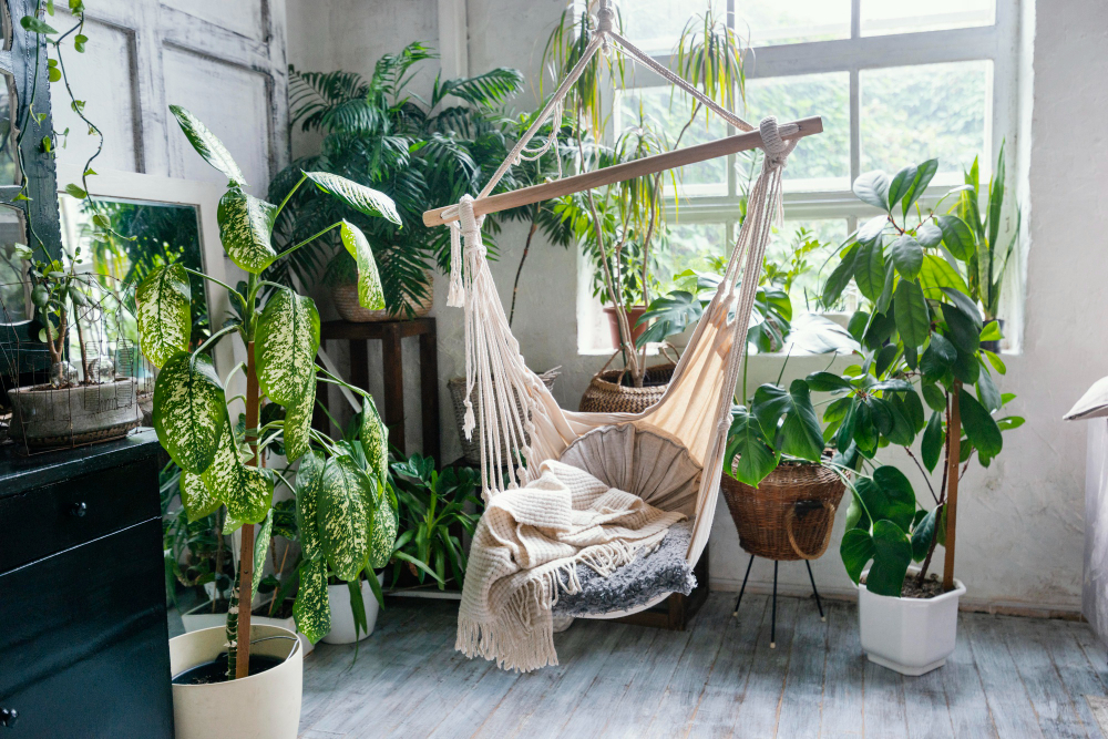 plante verte à l'intérieur d'une maison