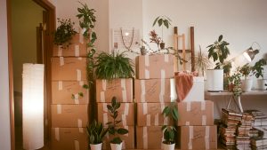 Comment organiser votre déménagement avec la location d'un garde-meuble ?