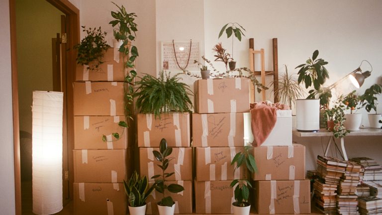 Comment organiser votre déménagement avec la location d'un garde-meuble ?