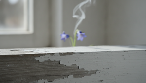 découvrez le retour d'expérience des utilisateurs sur la peinture pliolite : évaluez sa résistance, son adhérence et son odeur pour faire le meilleur choix pour vos travaux.