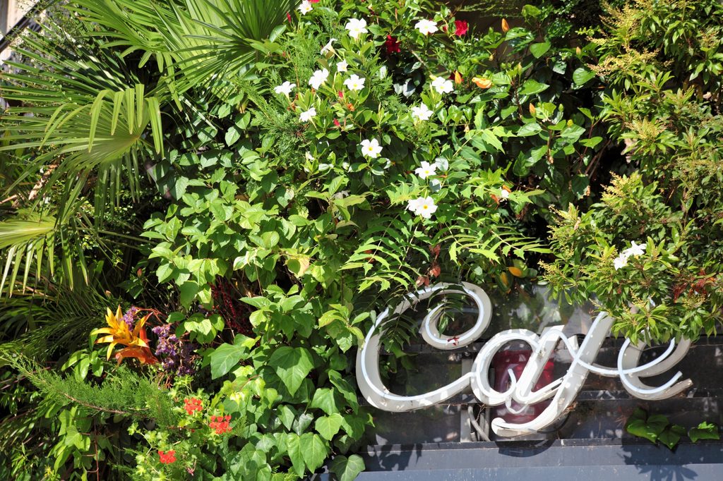 deco jungle urbaine