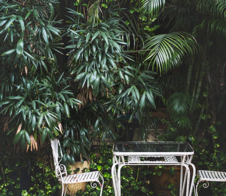 decoration jungle urbaine